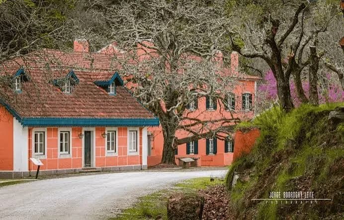 Foto de capa de Tapada Nacional de Mafra