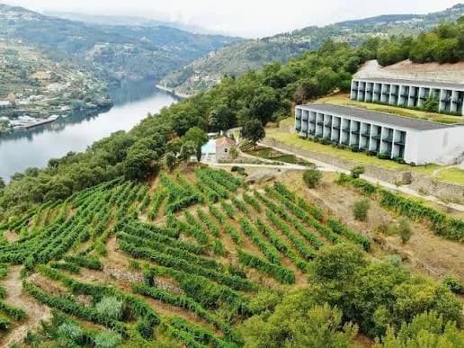 Foto de capa de Douro Palace Hotel Resort & Spa