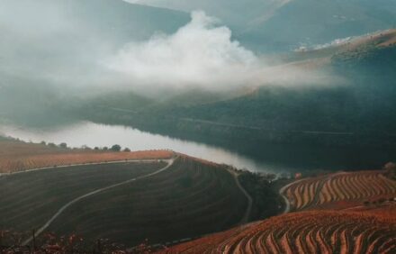 Quinta De Ventozelo