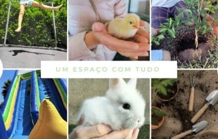 imagem da propriedade