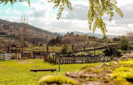 Quinta das Manas