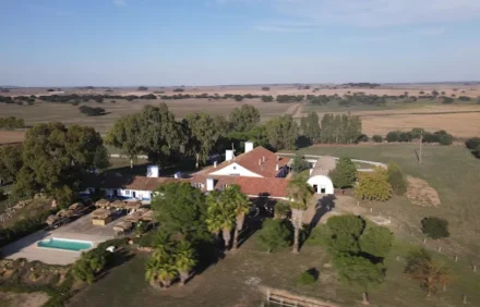 Monte do Sobral