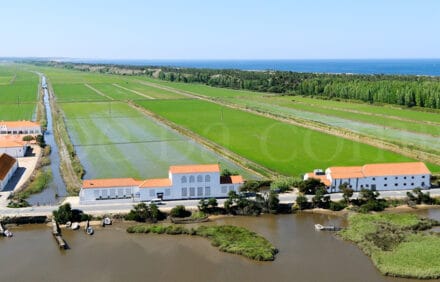 Herdade da Comporta